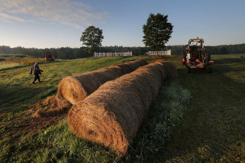 Dairy Farmer Fred Stone walks to baling machine